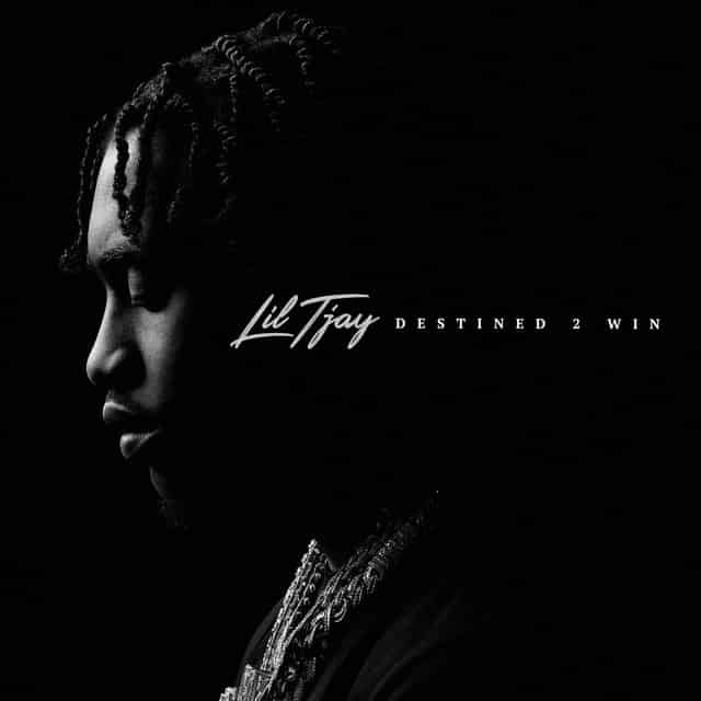 Album Art for Destined 2 Win