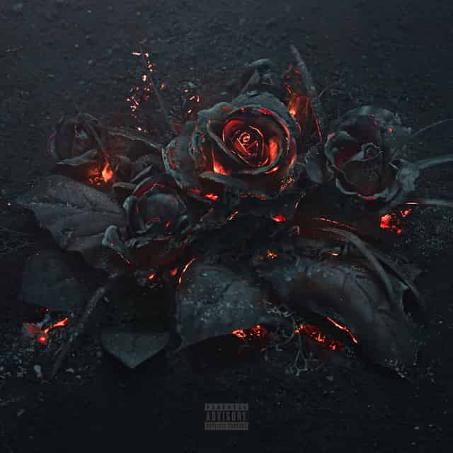 Album Art for EVOL