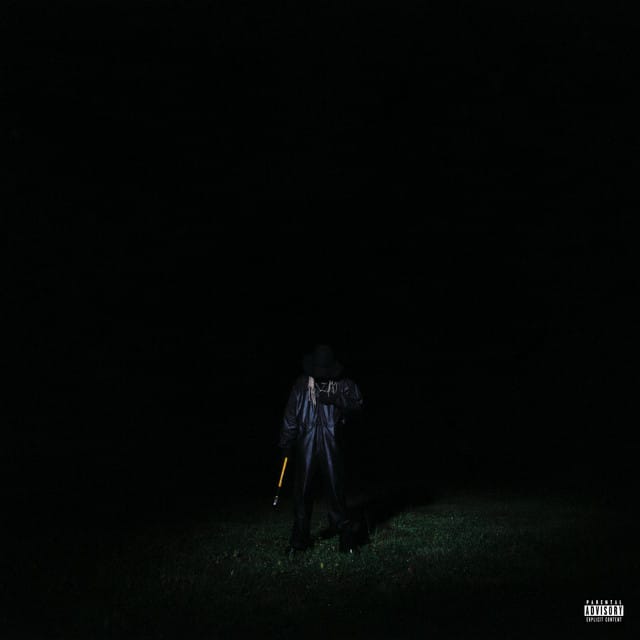 Album Art for If Looks Could Kill