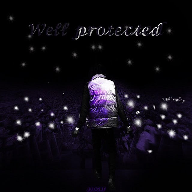 Album Art for Well Protected